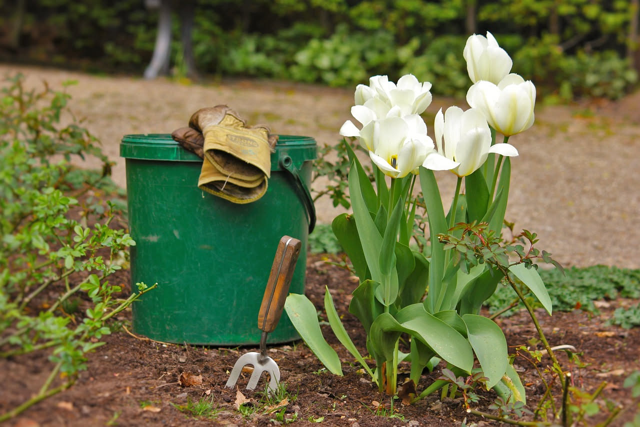Maggio in giardino: 5 operazioni indispensabili prima dell'estate