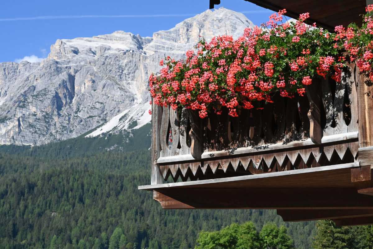 Rose e gerani al Primo Maggio: il meteo di aprile decide tutto