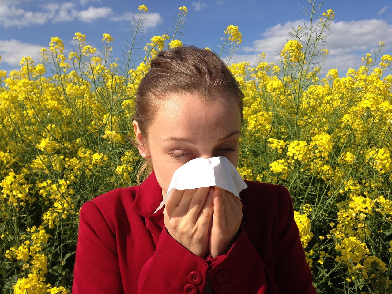 Allergie da polline: perché questa settimana è la peggiore dell'anno
