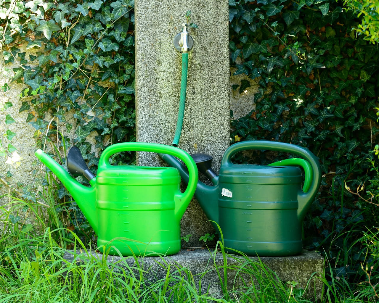 Innaffiatoi a goccia fai da te: come farli con bottiglie capovolte