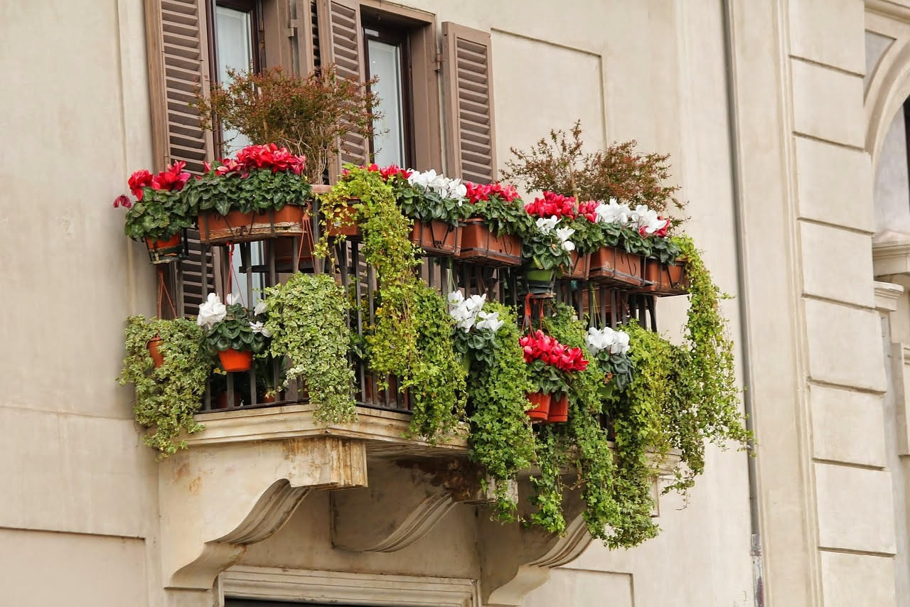 Vasi autoinnaffianti per il balcone: come funzionano davvero