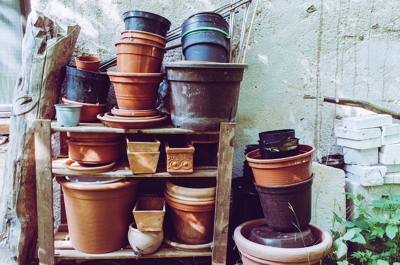 Vasi in terracotta o plastica: quale scegliere per le tue piante