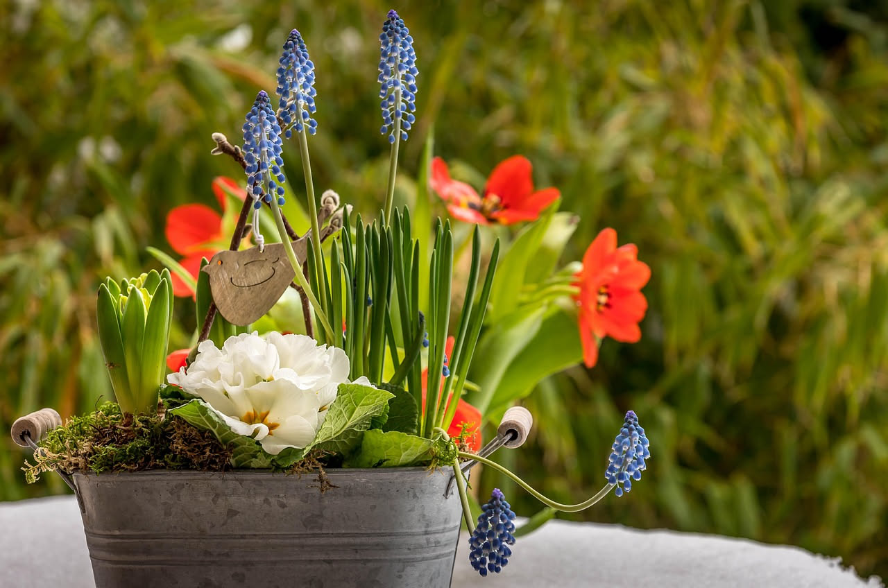 Giardinaggio in casa di riposo: come la cura delle piante aiuta la memoria