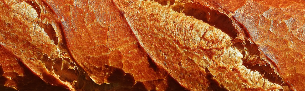 Il pane fa ingrassare davvero? La risposta della scienza