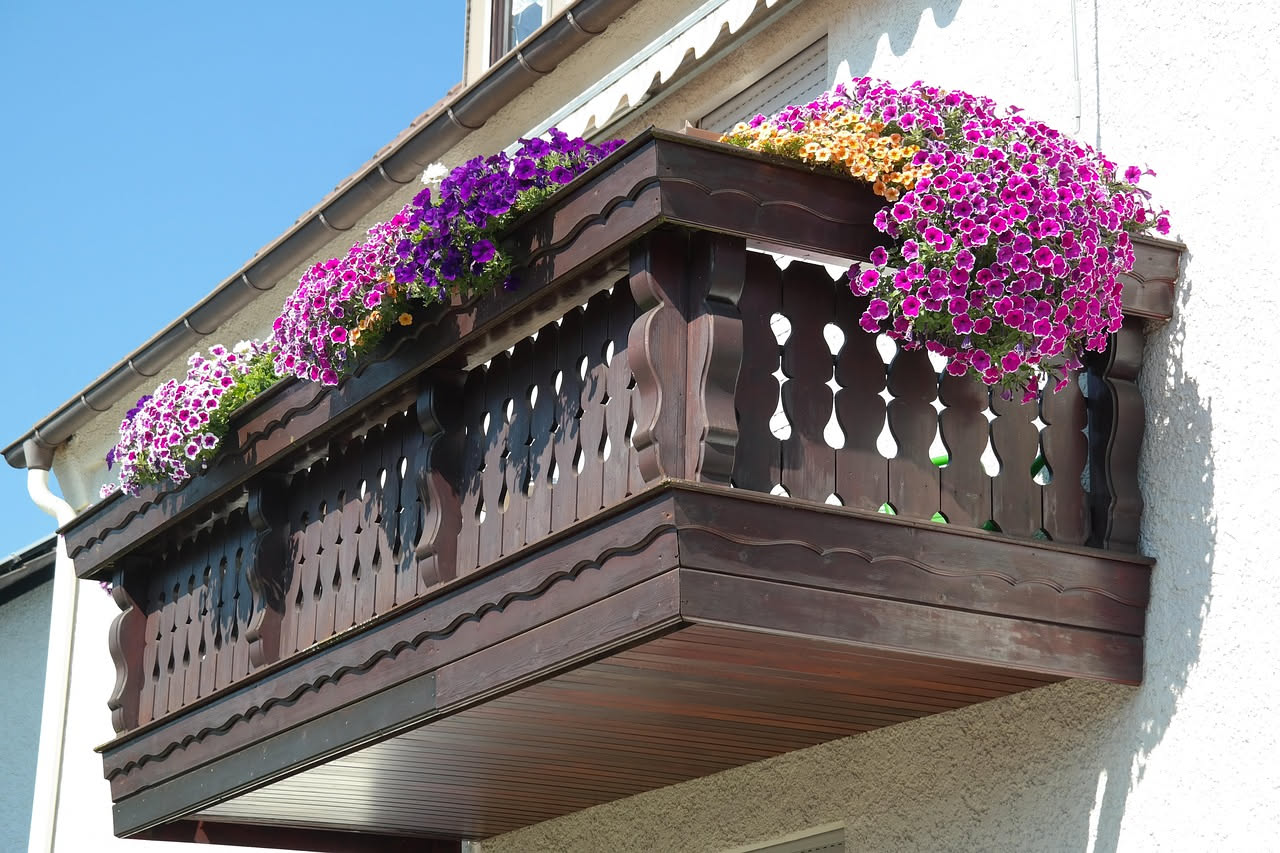 Quando piantare i 7 bulbi più spettacolari per avere il balcone fiorito d'estate (e prepararsi al colpo d'occhio di settembre)